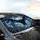 Nocturnal Bat Iridescent Wings - Gothic Stained Glass Wildlife Auto Decor Car Sunshade - 6