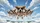 Realistic Beagles Sunglasses Clear Sky Clouds Dynamic Motion - Dog Lover Gift Car Sunshade - 7