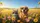 Cool Tabby Cat Golden Retriever Dog Wildflower Fields - Scenic Drive Wildlife Lover Gift Car Sunshade - 7