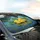 Multiple Yellow Water Lilies Varied Green Lily Pads Pond Water Surface - Nature Lover Gift Car Sunshade - 6