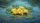 Multiple Yellow Water Lilies Varied Green Lily Pads Pond Water Surface - Nature Lover Gift Car Sunshade - 7