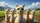 Smiling Alpacas Yellow Sunglasses Green Fields - Wildlife Lover Road Trip Gift Car Sunshade - 7