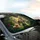 Tabby Cat Tiger Golden Retriever Ragdoll Jungle - Wildlife Lover Gift Car Sunshade - 6
