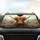 Highland Cow Floral Crown Wild Thistle Scottish Hills - Farmhouse Decor Cow Lover Gift Car Sunshade - 4