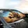 Five Bengal Cats Road Trip Adventure - Travel Essentials Cat Lover Gift Car Sunshade - 6