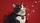 Black Cat Red Heart White Stars - Auto Interior Gift for Cat Lovers Car Sunshade - 7