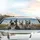 Great Danes High Speed Open Road - Dog Lover Road Trip Companion Gift Car Sunshade - 5