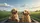 Smiling Golden Retrievers Country Road Trip Adventure Freedom Gift Car Sunshade - 7