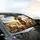 Golden Doodle Dogs Pack Freedom Adventure Road Travel Gift Car Sunshade - 6