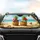 Jovial Pineapples Tropical Beach Starfish Seashells - Summer Beach Trip Car Sunshade - 4