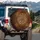 Prominent Black Rosettes Leopard Fur Spots Jungle Foliage - Wildlife Safari Lover Gift Spare Tire Cover - 3