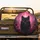 Black Wolf Glowing Eyes Red Roses Fantasy Forest - Wildlife Lover Gift Spare Tire Cover - 2
