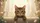 Tabby Cat Curious Golden Eyes Peeking Ledge - Car Decor Gift for Cat Lover Car Sunshade - 7