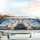 White Rabbit Driving Wild Farm Animals & Colorful Balloons - Adventure Lover Gift Car Sunshade - 5