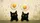 Curious Black Cats Fried Eggs Cooking Utensils - Everyday Home Decor for Cat Lover Car Sunshade - 7