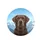 Chocolate Labrador Snow-Covered Mountains - Dog Lover Outdoor Adventure Gift Spare Tire Cover - 4