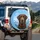 Chocolate Labrador Snow-Covered Mountains - Dog Lover Outdoor Adventure Gift Spare Tire Cover - 3