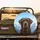 Chocolate Labrador Snow-Covered Mountains - Dog Lover Outdoor Adventure Gift Spare Tire Cover - 2