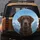 Chocolate Labrador Snow-Covered Mountains - Dog Lover Outdoor Adventure Gift Spare Tire Cover - 5