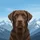 Chocolate Labrador Snow-Covered Mountains - Dog Lover Outdoor Adventure Gift Spare Tire Cover - 6