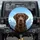 Chocolate Labrador Snow-Covered Mountains - Dog Lover Outdoor Adventure Gift Spare Tire Cover - 1