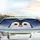 Penguin Face Expressive Black Eyes Orange Beak Snow Arctic Night - Winter Decor Gift Car Sunshade - 5