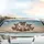 Boxer Dogs Steering Wheel Ride - Dog Lover Gift Car Sunshade - 5