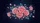 Lush Pink Roses Rose Buds Golden Centers Blue Green Leaves Midnight Blue Car Sunshade - 7