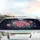 Lush Pink Roses Rose Buds Golden Centers Blue Green Leaves Midnight Blue Car Sunshade - 5