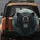 Majestic Black Bear Roaring Forest Mountain - Wildlife Lover Adventure Gift Spare Tire Cover - 5