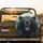Majestic Black Bear Roaring Forest Mountain - Wildlife Lover Adventure Gift Spare Tire Cover - 2