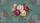 Opulent Deep Rose Pink Cream Blush Vintage Rose Garden Botanical Car Sunshade - 7
