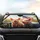 Baby Pigs with Bows American Flag - Scenic Ride Patriotic Gift Car Sunshade - 4