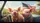 Baby Pigs with Bows American Flag - Scenic Ride Patriotic Gift Car Sunshade - 7