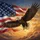 Bald Eagle American Flag Luminous Clouds Golden Sky Patriotic Decor Gift Spare Tire Cover - 6