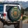 Golden Brass Compass Rose Acanthus Filigree - Explorer Travel Gift Spare Tire Cover - 3