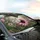 Black Pattern White Butterfly Pink Gerbera Garden Scene - Nature Lover Gift Car Sunshade - 6