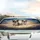 Excited Border Collie Australian Shepherd Dogs - Joyful Adventure Dog Lover Gift Car Sunshade - 5