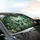 Morpho Butterfly Blue Green Golden Rainforest Canopy Luminous Mist - Wildlife Lover Gift Car Sunshade - 6