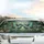 Morpho Butterfly Blue Green Golden Rainforest Canopy Luminous Mist - Wildlife Lover Gift Car Sunshade - 5