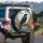 Black Raven Autumn Flowers Bats Full Moon - Wildlife Lover Gift Spare Tire Cover - 3