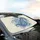 Swirling Dot-Work Paisley Floral Botanicals Leaf Elements - Everyday Lifestyle Gift Car Sunshade - 6