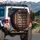 Expansive Dark Wooden Bookshelf Colorful Books - Academic Car Decor Gift for Readers Spare Tire Cover - 3