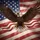 Bald Eagle American Flag - Independence Day Patriotic Gift for Veterans Spare Tire Cover - 6