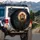 Majestic Roaring Lion Full Moon - Wilderness Decor Gift for Lion Lover Spare Tire Cover - 3