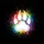 Bold White Bear Claw Paw Print Vibrant Rainbow Splatter Black Background - Wildlife Lover Gift Spare Tire Cover - 6