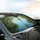 Emerald Gold Dragonfly Aquatic Reeds Wildflowers - Nature Lover Gift Car Sunshade - 6