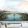 Emerald Gold Dragonfly Aquatic Reeds Wildflowers - Nature Lover Gift Car Sunshade - 5