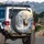 Majestic Bull Elk Antlers Snowy Mountain Pine Forest - Wildlife Lover Gift Spare Tire Cover - 3