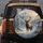 Majestic Bull Elk Antlers Snowy Mountain Pine Forest - Wildlife Lover Gift Spare Tire Cover - 5